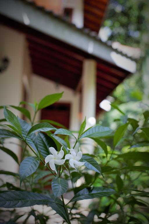 Binara Home Stay Polonnaruwa Ngoại thất bức ảnh