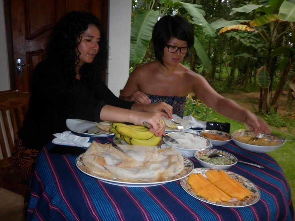 Binara Home Stay Polonnaruwa Ngoại thất bức ảnh