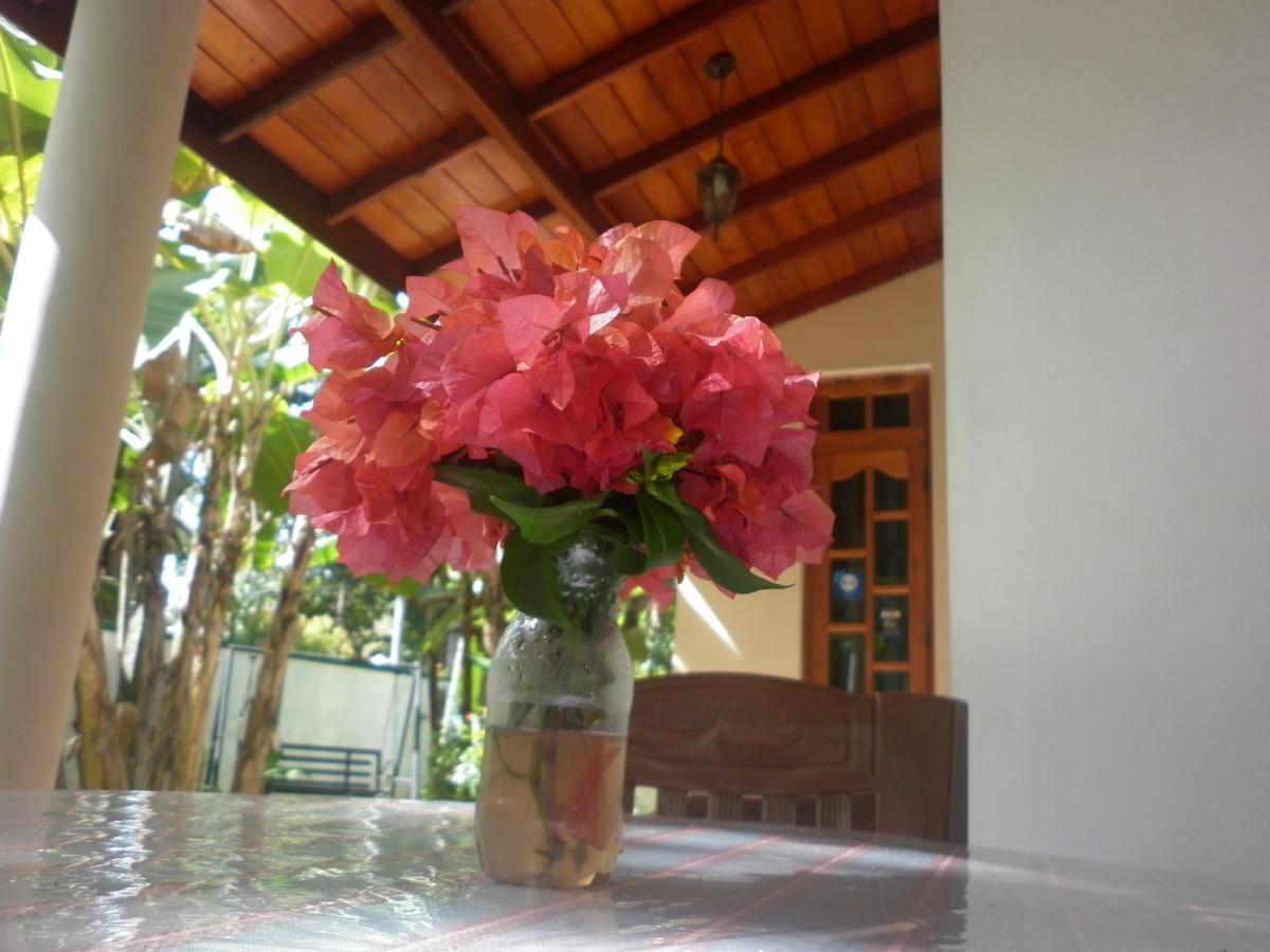 Binara Home Stay Polonnaruwa Ngoại thất bức ảnh